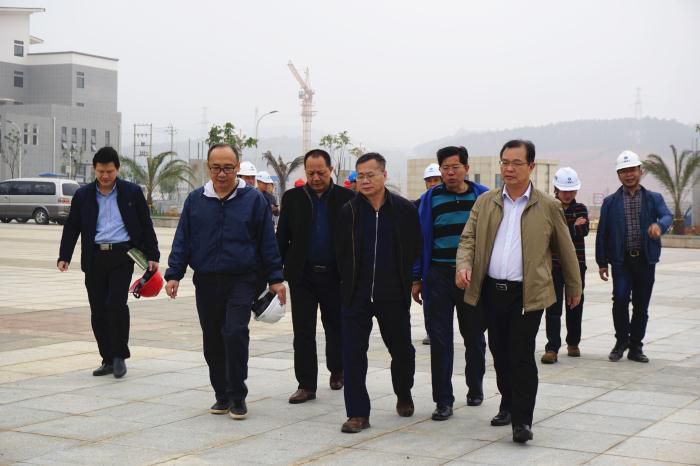 5.吴锡熹一行在项目落成区进行实地观察。谢微旋 摄700.jpg